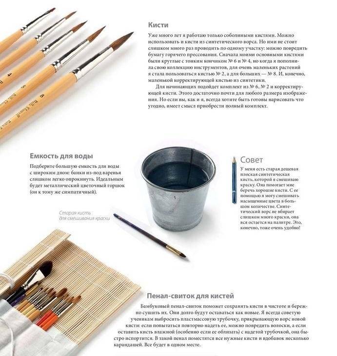 Ботанические портреты. Практическое руководство по рисованию акварелью фото книги 10