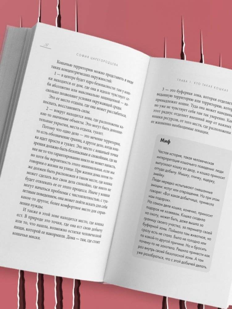 Кошачий закон и порядок. Как найти общий язык с кошкой и не стать жертвой ее капризов фото книги 2