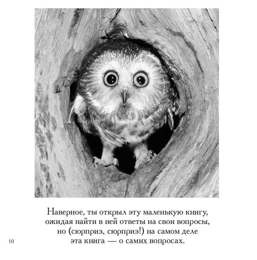 Смысл жизни фото книги 7