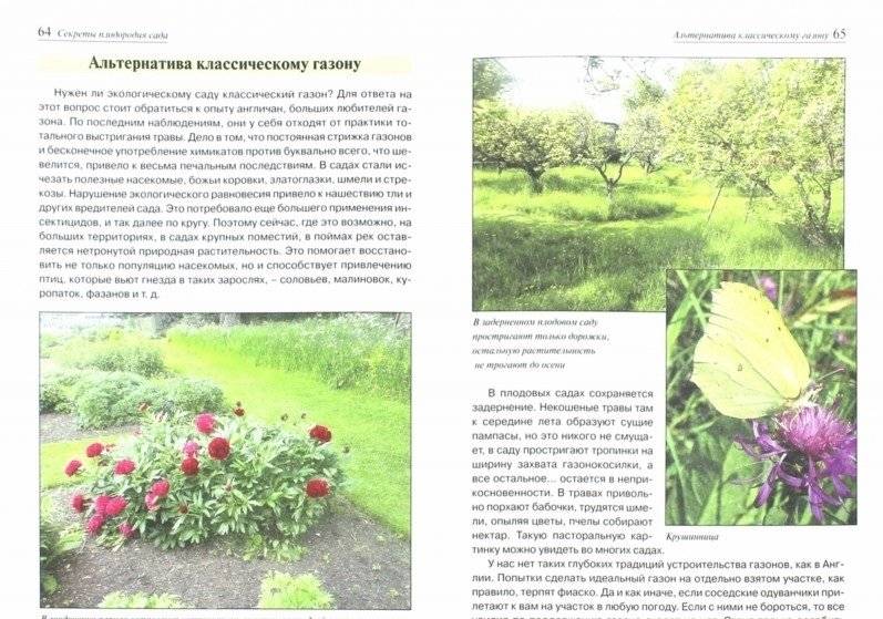 Секреты плодородия сада. Справочное пособие фото книги 2