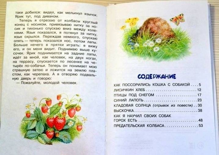 Как поссорились кошка с собакой фото книги 2