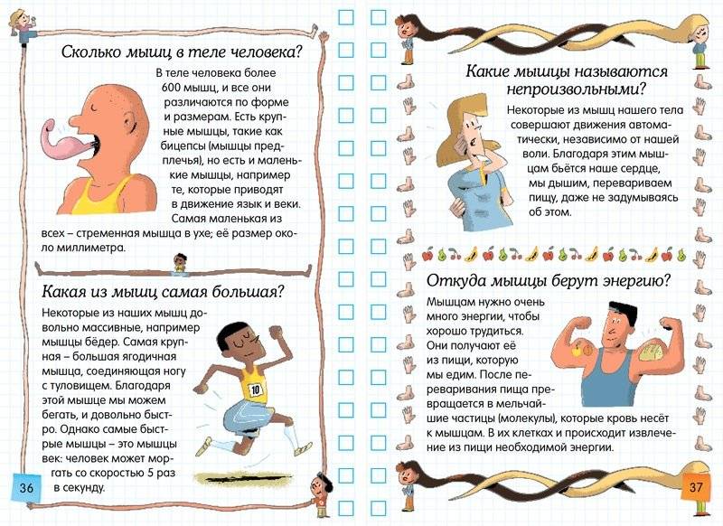 Тело человека фото книги 3