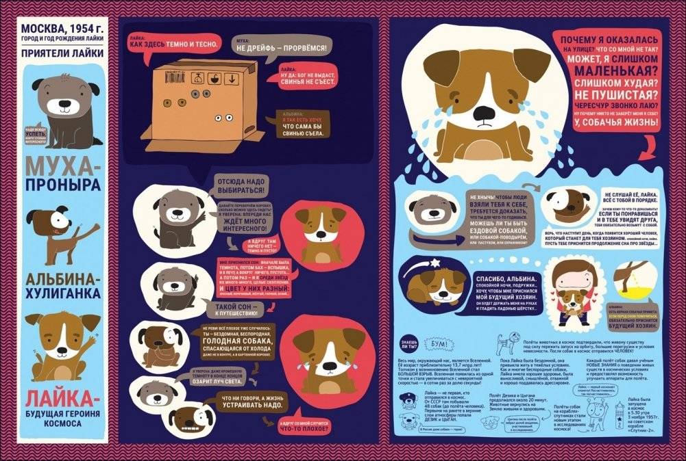 Лайка - космонавт фото книги 2