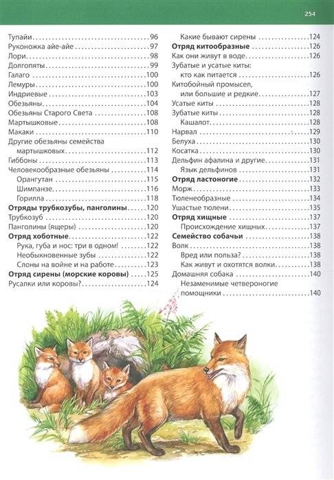 Животные. Детская энциклопедия фото книги 9