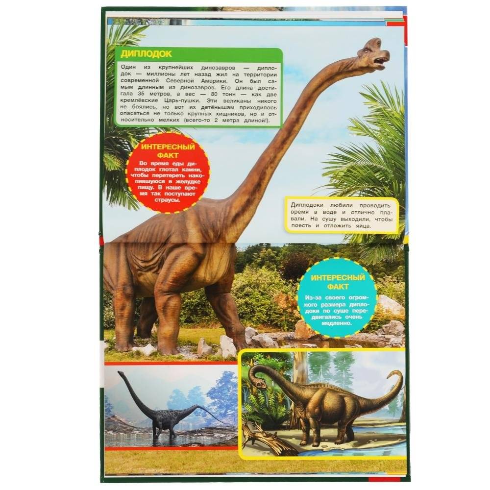 Динозавры-гиганты. Энциклопедия с развивающими заданиями фото книги 4