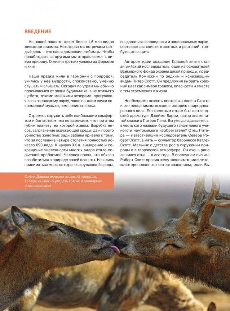 Красная книга. Животные мира фото книги 5