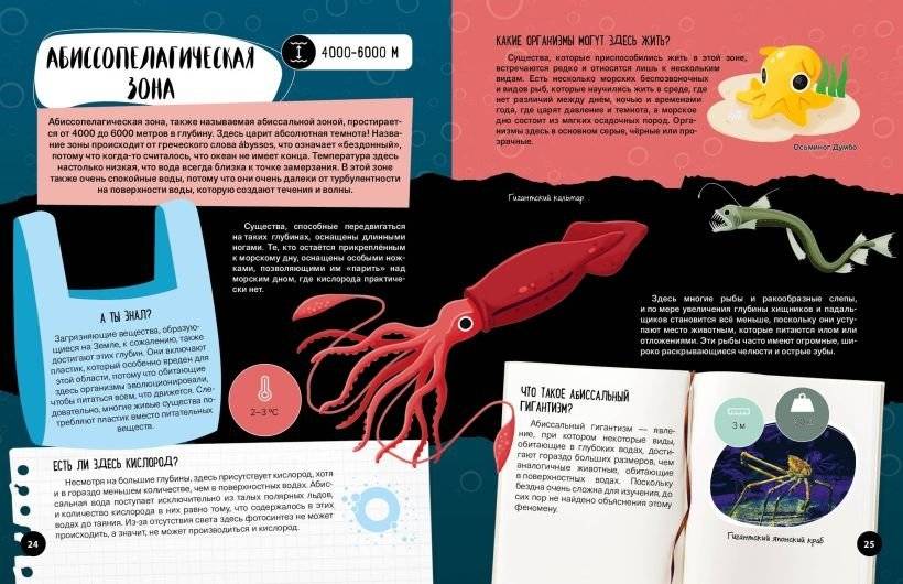 Что? Как? Почему? Мои первые знания про МОРЯ И ОКЕАНЫ (с постером) фото книги 5