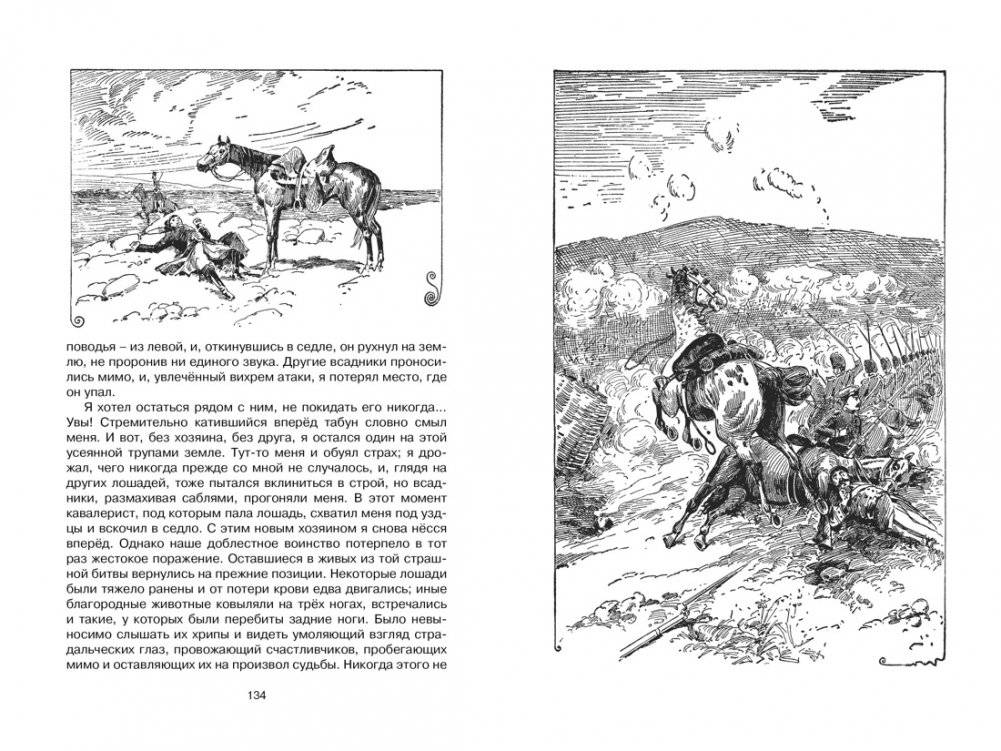 Чёрный Красавчик фото книги 5