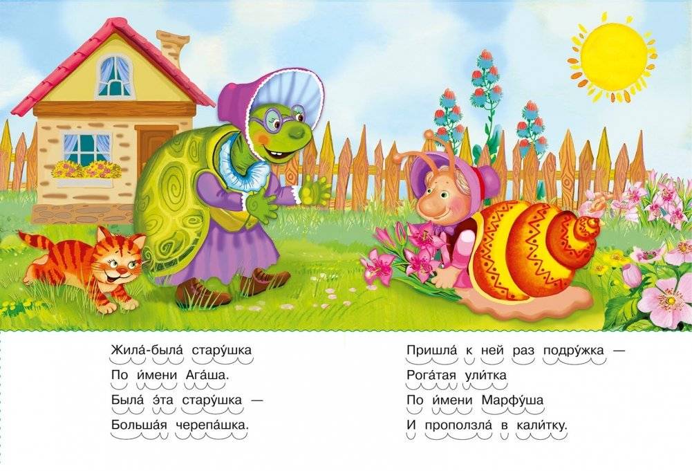 Черепашка и очки фото книги 3