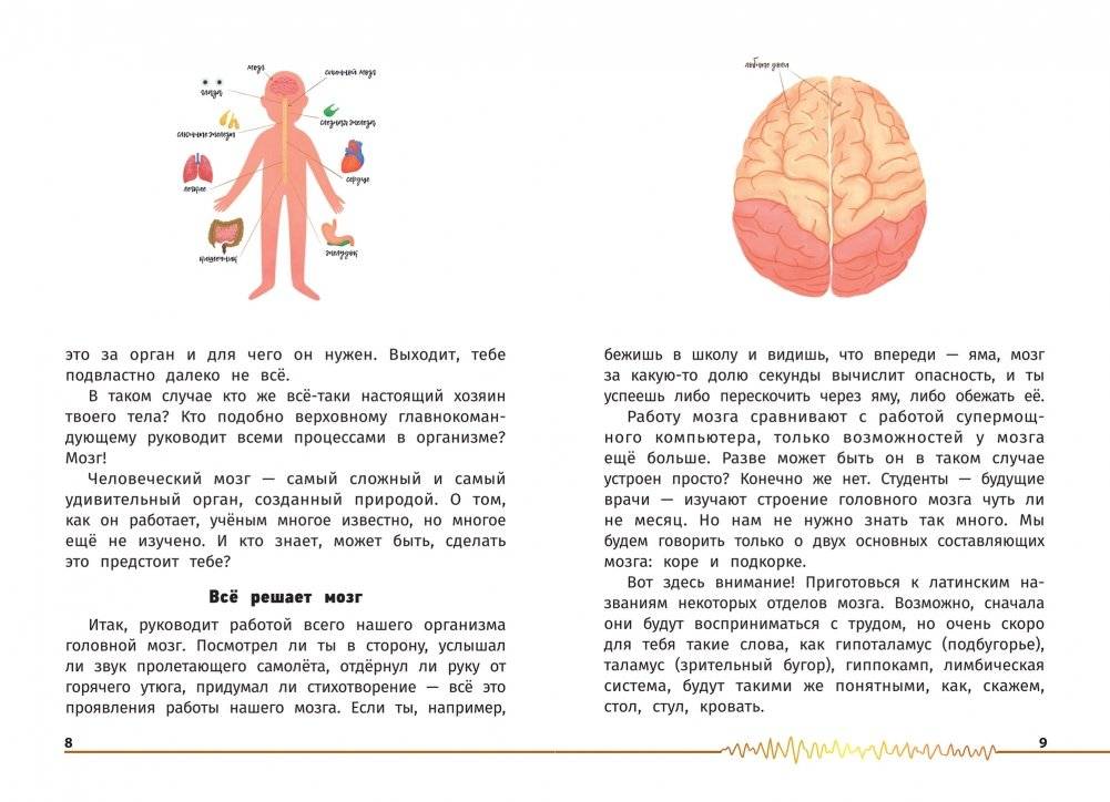 Не просто серое вещество! Изучи свой мозг и включи его! фото книги 3