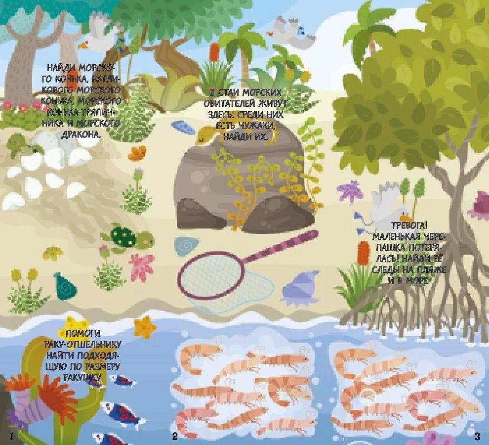 В море! Книжка с клапанами фото книги 3