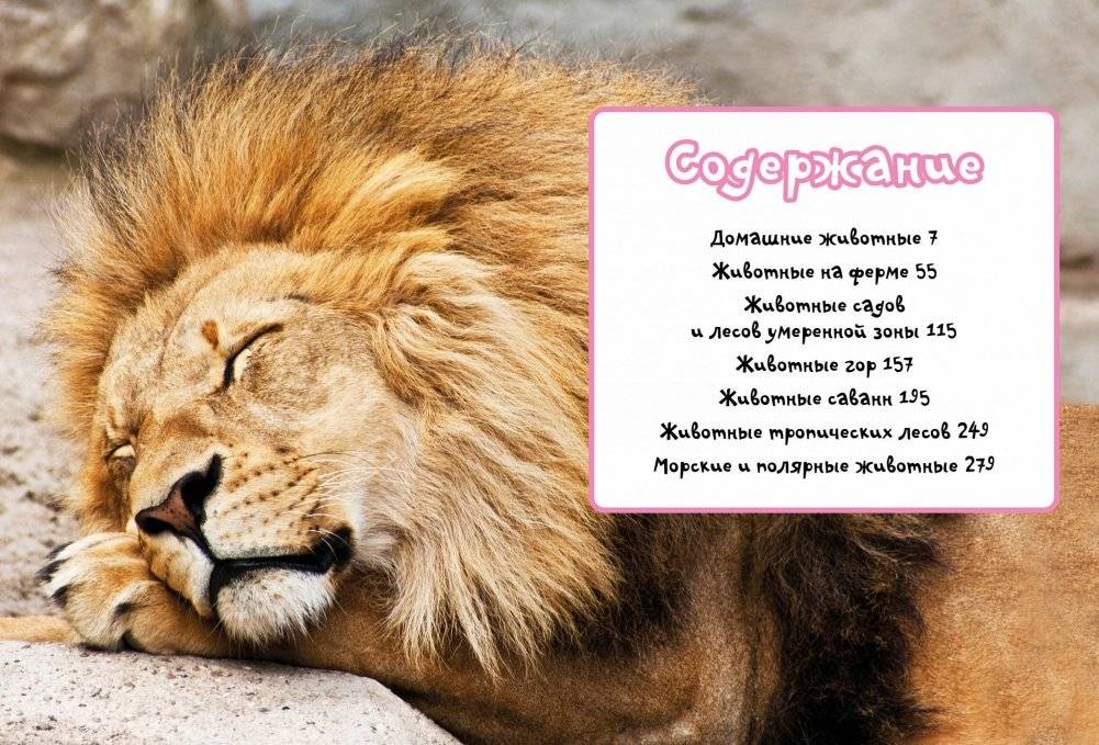 Моя любимая книга о животных фото книги 2