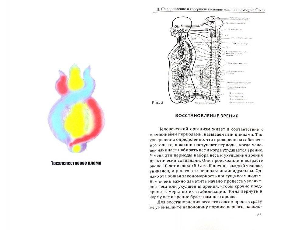 Панацея. Практика лечения солнечной энергией фото книги 2