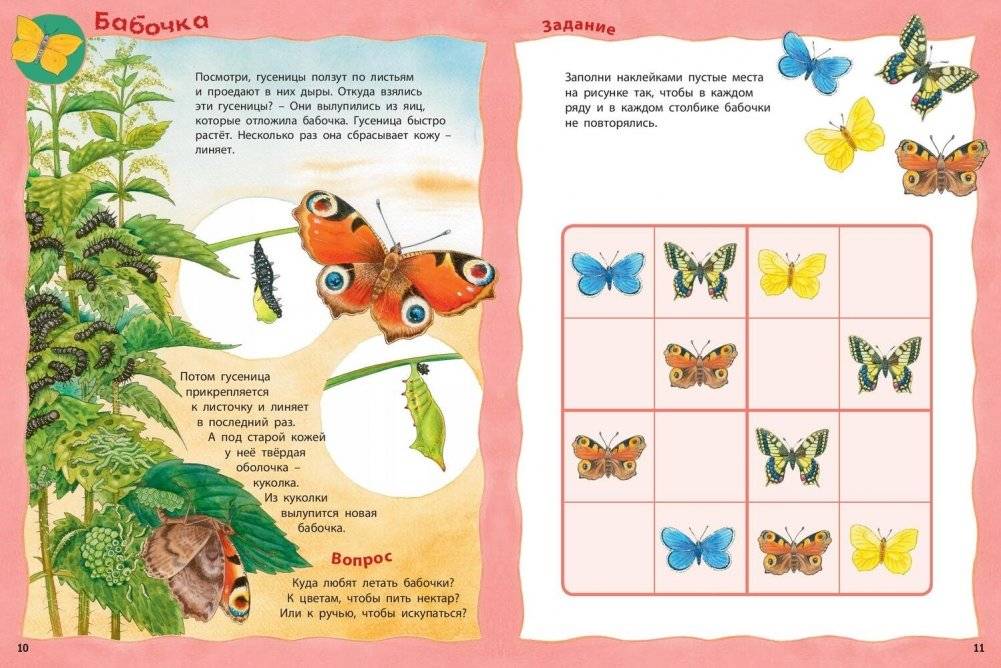 Кто живёт на лугу? Книжка-активити с развивающими заданиями, головоломками, наклейками фото книги 4