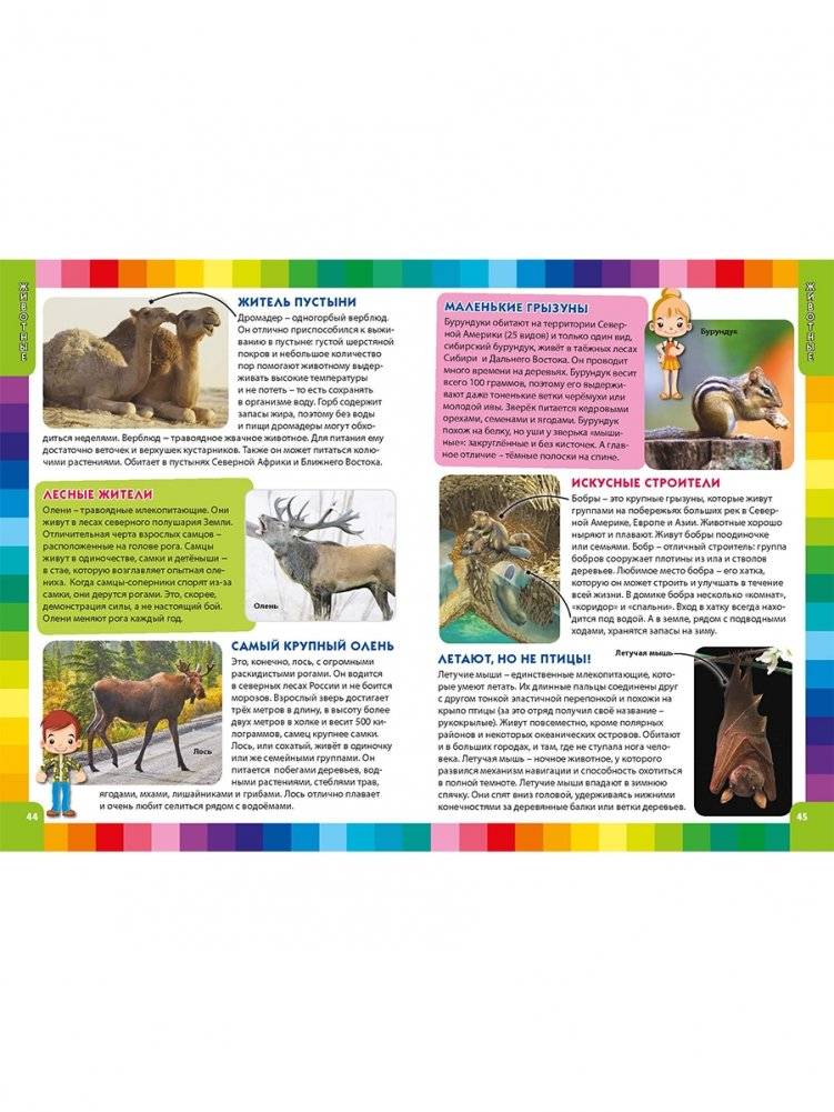 Детская энциклопедия для маленьких почемучек фото книги 6