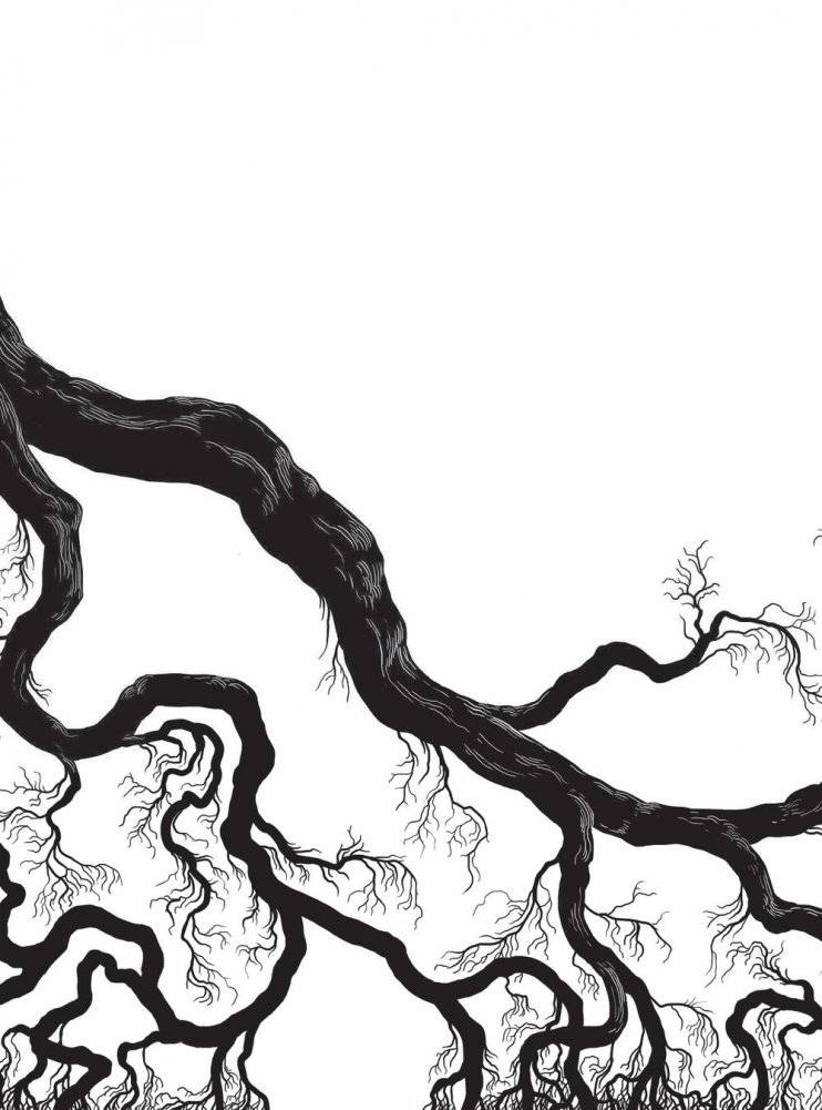 Рождественский бестиарий фото книги 3