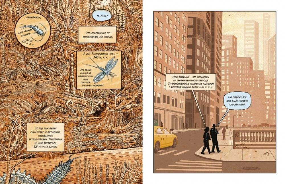 Инсектополис история насекомых от Большого взрыва до наших дней фото книги 3
