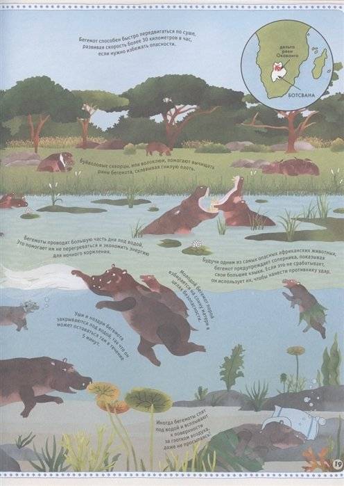 Большой атлас животных в картинках фото книги 6