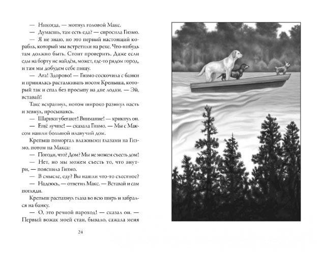 Верные. Книга 2. Тайна трёх колец фото книги 2