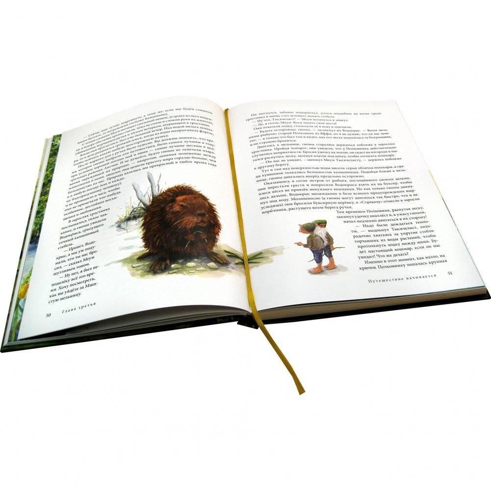 Вверх по Причуди и обратно. Удивительные приключения трех гномов фото книги 4