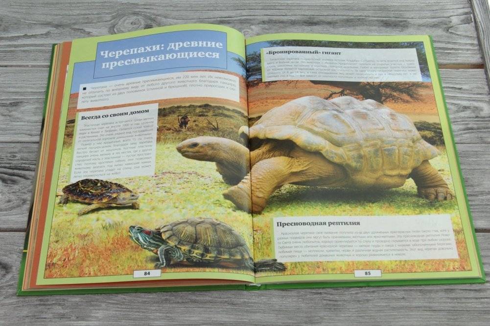 Животные нашей планеты фото книги 4