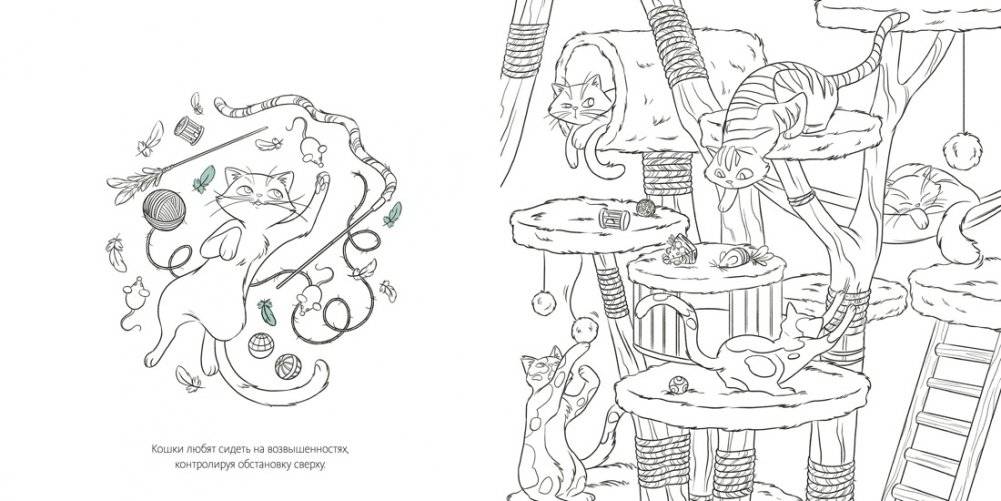 Кошки фото книги 2