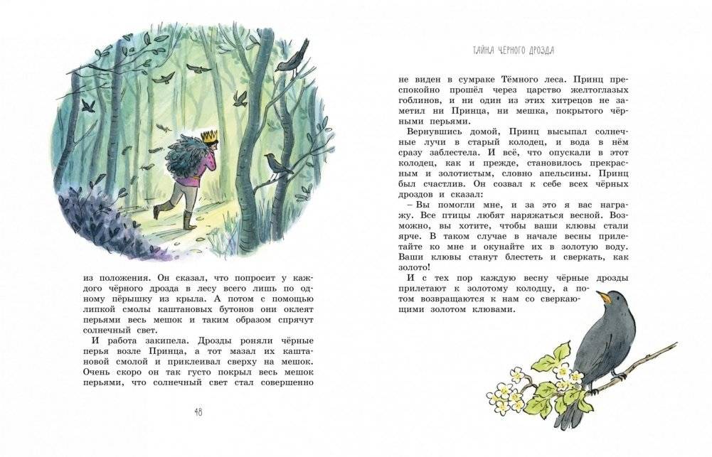 Волшебные сказки круглый год фото книги 6