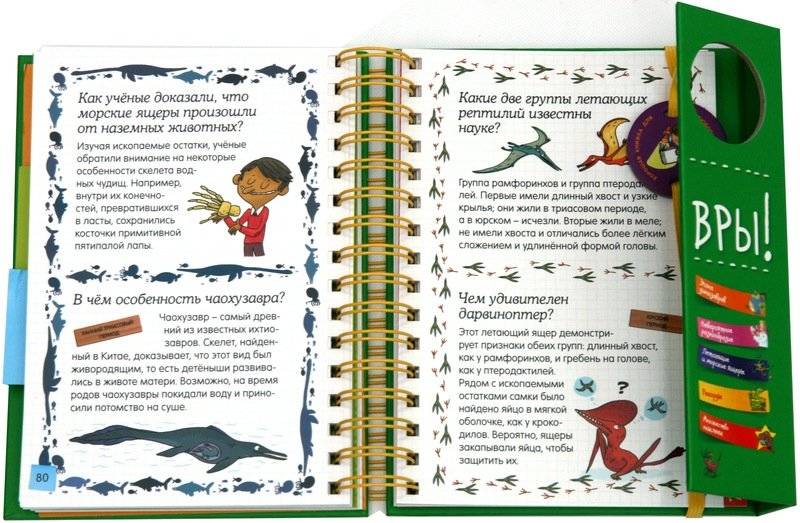 Знакомьтесь: динозавры! фото книги 4