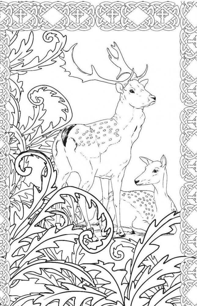 Загадочный лес. Мини-раскраска-антистресс для творчества и вдохновения фото книги 9