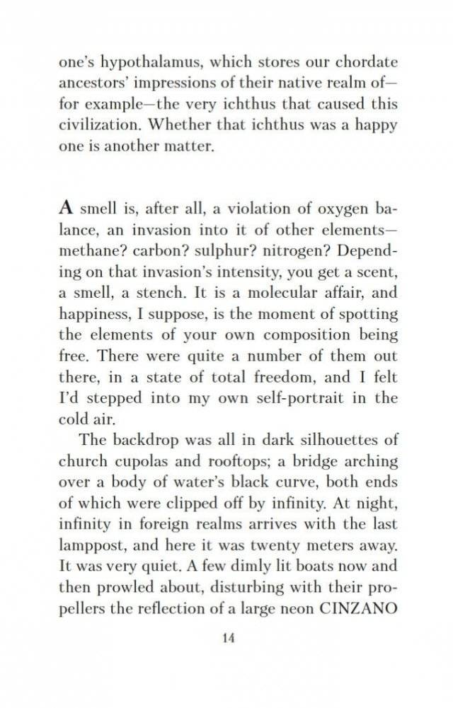 Набережная Неисцелимых. Watermark (билингва) фото книги 15