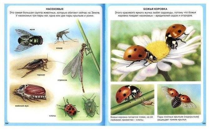 Животные фото книги 4