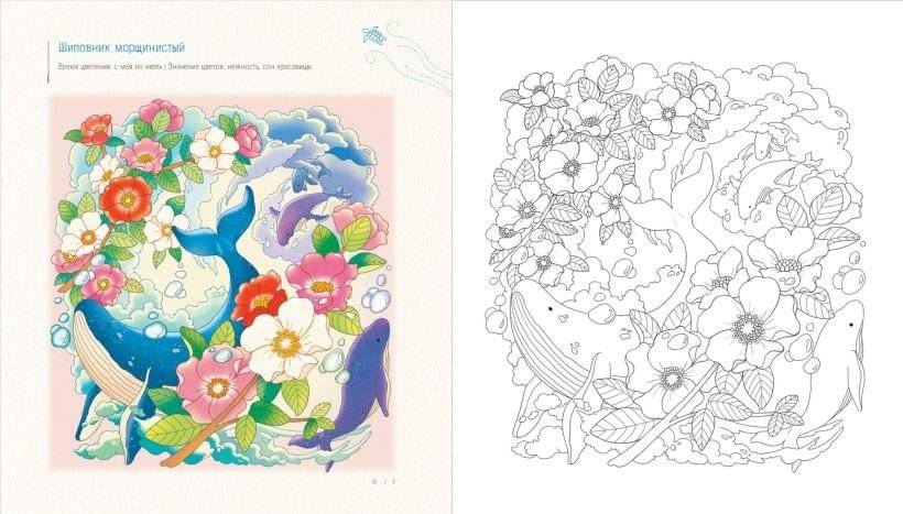 Летним днём в Корее. Раскраски-антистресс, которые подарят тёплые чувства фото книги 5