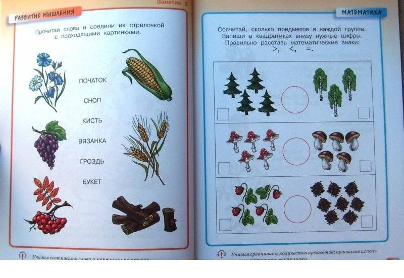 Грамотейка. Интеллектуальное развитие детей 5-6 лет фото книги 4