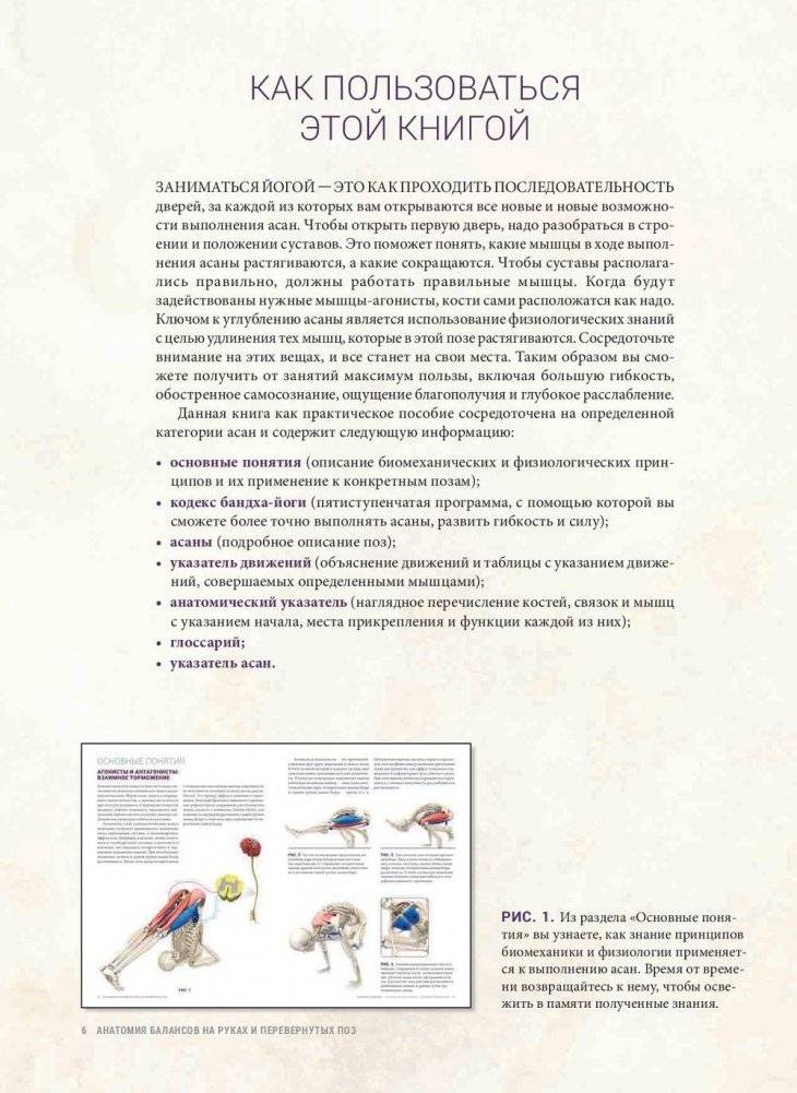 Анатомия балансов на руках и перевернутых поз фото книги 4