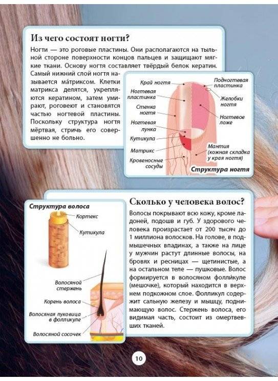 Тело человека. Серия "99 захватывающих фактов" фото книги 2