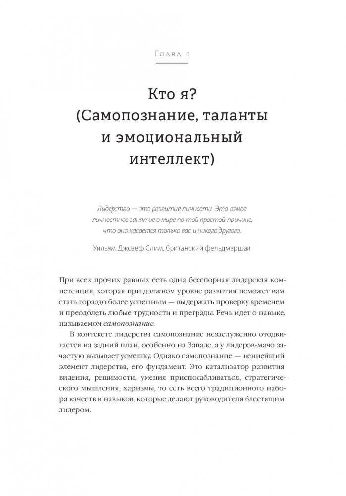Вдохновляющий лидер. Команда. Смыслы. Энергия фото книги 4