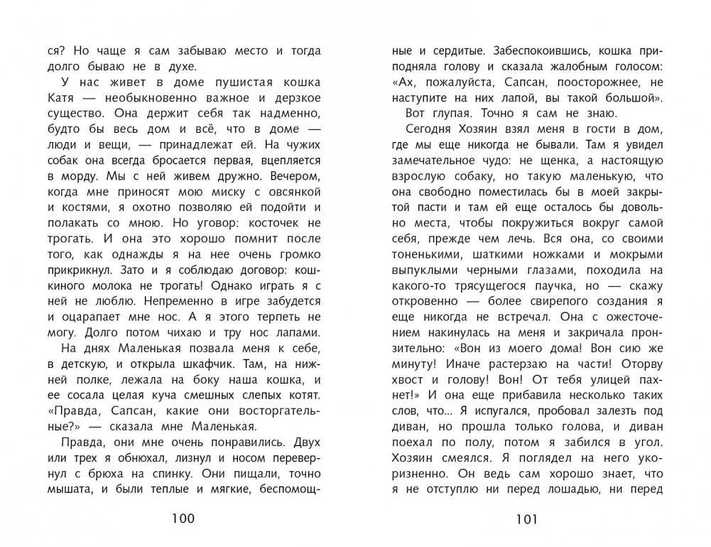 Белый пудель фото книги 3