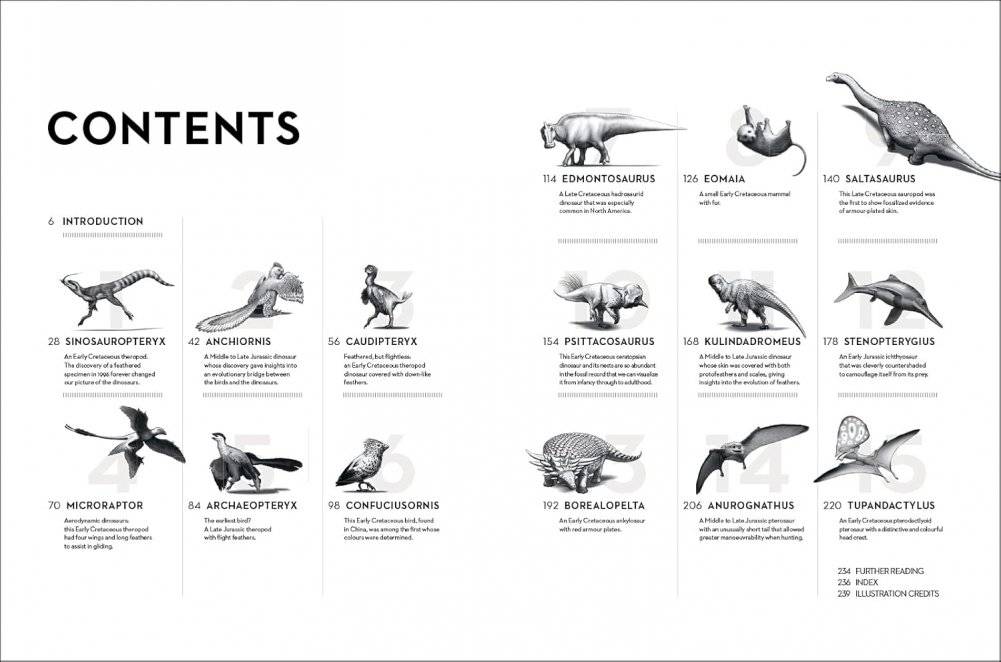 Dinosaurs фото книги 3