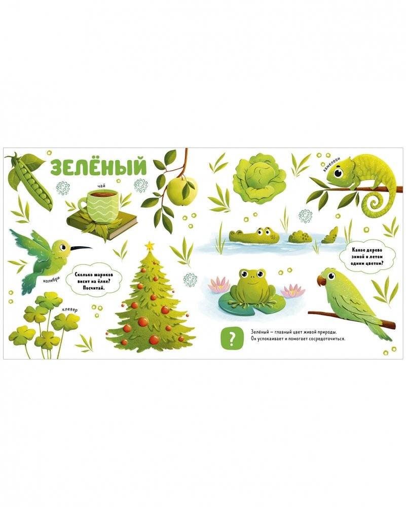 Главная книга малыша. Цвета и предметы фото книги 3