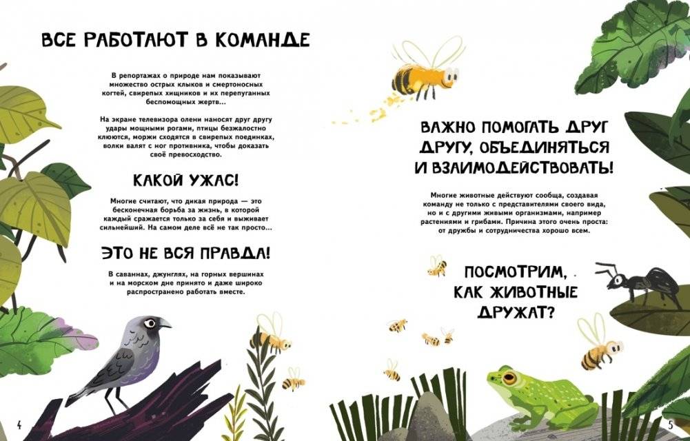 Вместе лучше! Командная работа в мире животных фото книги 2