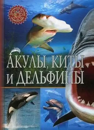 Акулы, киты и дельфины. Детская энциклопедия фото книги
