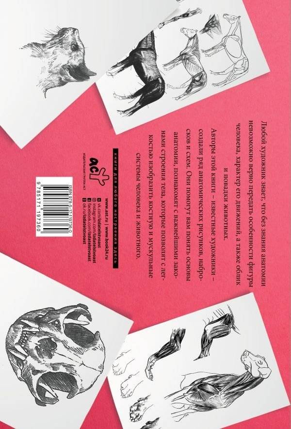 Анатомия для художников. Альбом для скетчинга фото книги 2