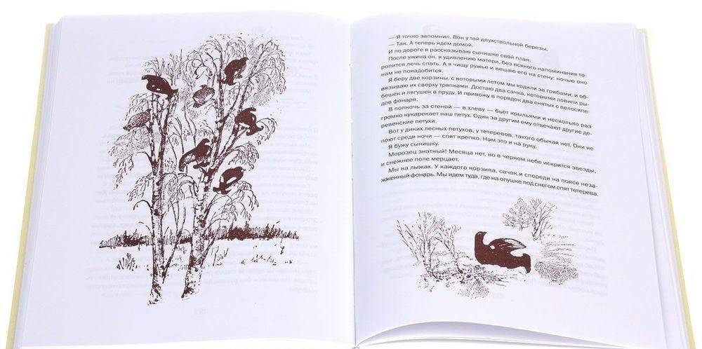 Я учил их птицам фото книги 3