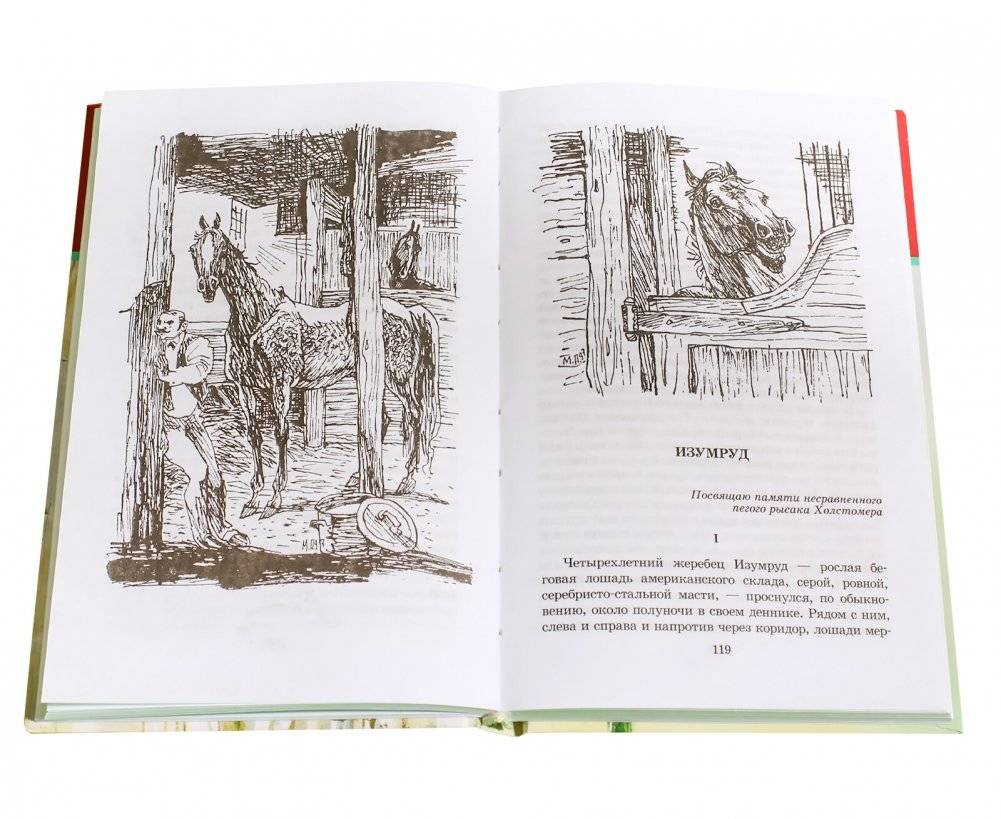 Гранатовый браслет фото книги 4