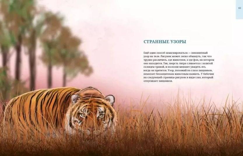Животные-невидимки. Чудеса маскировки в дикой природе фото книги 7