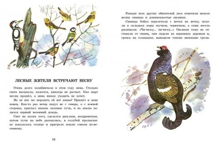 Белочка-хлопотунья фото книги 4