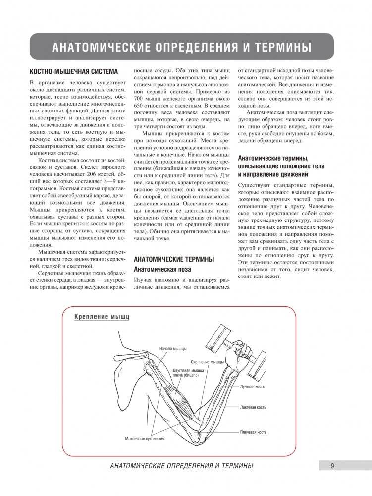 Анатомия фитнеса и силовых упражнений для женщин фото книги 6