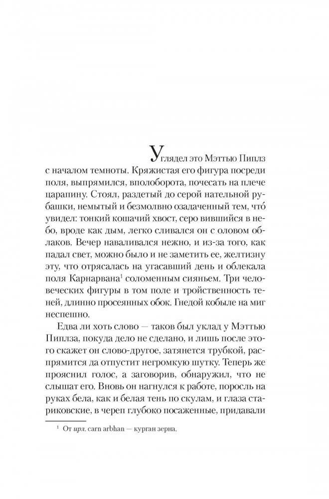 Черный снег фото книги 2