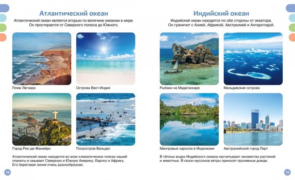 Море и его обитатели фото книги 6