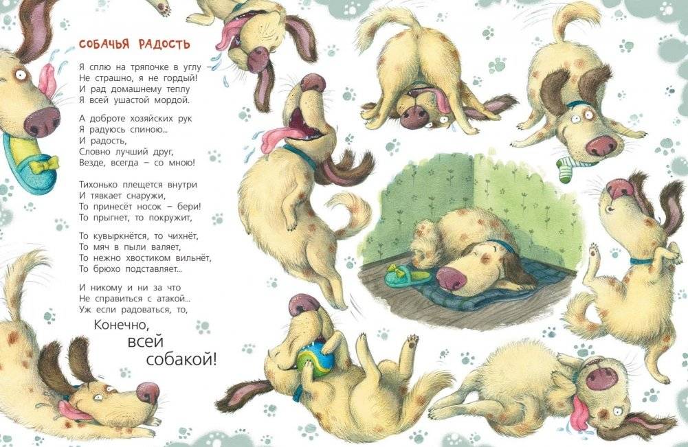 Жизнь собачья фото книги 4